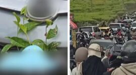 Ilustrasi keramaian dan kendaraan yang digantung daun teh