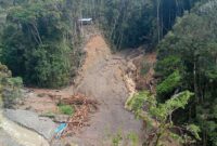 Banjir Bandang dan Longsor di Pegunungan Arfak, Satu Tewas, 19 Hilang (Foto: BNPB)