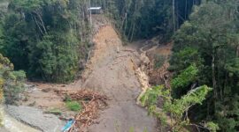 Banjir Bandang dan Longsor di Pegunungan Arfak, Satu Tewas, 19 Hilang (Foto: BNPB)