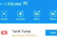 Foto: Tangkapan layar aplikasi Dana