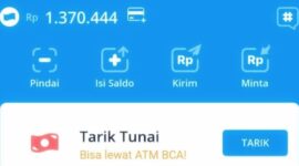 Foto: Tangkapan layar aplikasi Dana