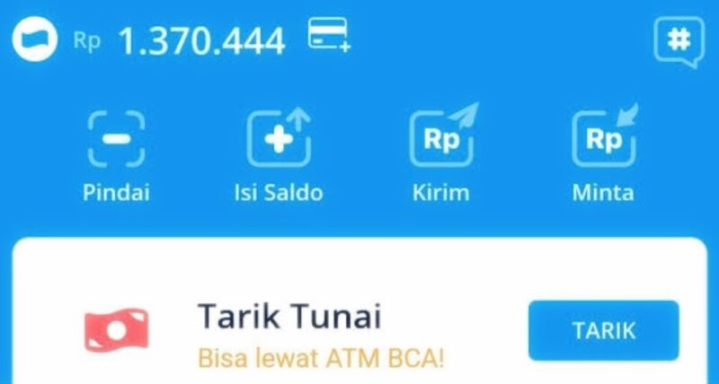 Foto: Tangkapan layar aplikasi Dana