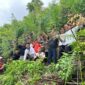 Polisi Temukan Ladang Ganja di Wilayah Kayu Aro