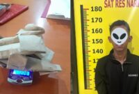 Bawa Ganja ke Area Pemakaman, Pemuda di Kerinci Ditangkap Tim Satresnarkoba