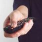 Daftar Kode Remot TV Universal untuk Semua Merek TV 2025