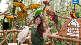 10 Tempat Wisata di Sekitar Bogor dan Puncak yang Paling Hits dan Instagramable (Foto: en.tiket.com)