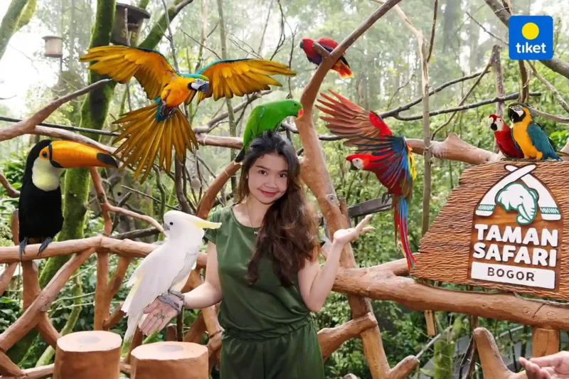 10 Tempat Wisata di Sekitar Bogor dan Puncak yang Paling Hits dan Instagramable (Foto: en.tiket.com)