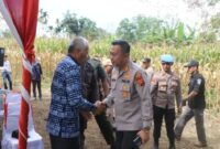 Wawako Sungai Penuh bersama Kapolres Kerinci Gelar Panen Raya Jagung Tahap II (Dok. Humas Pemkot Sungai Penuh)