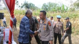 Wawako Sungai Penuh bersama Kapolres Kerinci Gelar Panen Raya Jagung Tahap II (Dok. Humas Pemkot Sungai Penuh)