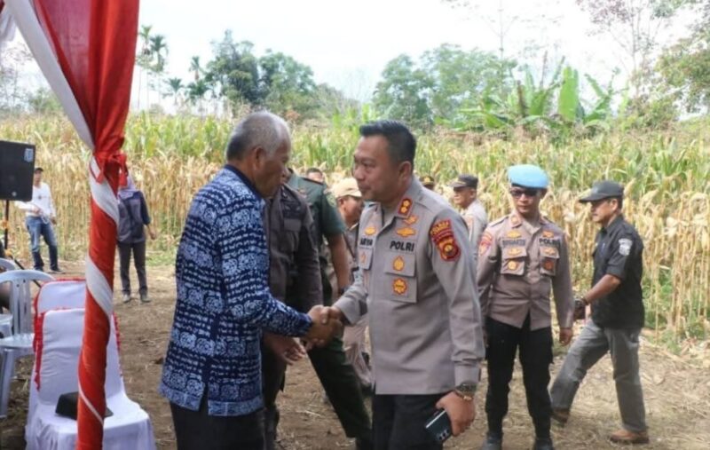 Wawako Sungai Penuh bersama Kapolres Kerinci Gelar Panen Raya Jagung Tahap II (Dok. Humas Pemkot Sungai Penuh)