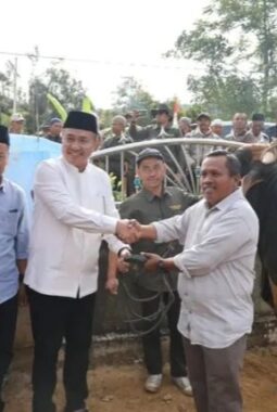 Walikota Sungai Penuh Serahkan Bantuan Sapi Kurban dari Presiden Prabowo di RKE