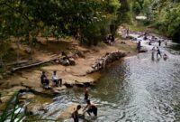 Bahung Basilo, Surga Alam dan Agrowisata di Renah Kayu Embun (Dok. Bahung Basilo)