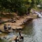 Bahung Basilo, Surga Alam dan Agrowisata di Renah Kayu Embun (Dok. Bahung Basilo)