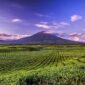 Kebun Teh Kayu Aro (Instagram.com/kerinci_sungaipenuh)