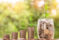 Tips Mengelola Keuangan Pribadi di Era Digital, Cara Mudah Atur Uang & Investasi (Ilustrasi: Pixabay)