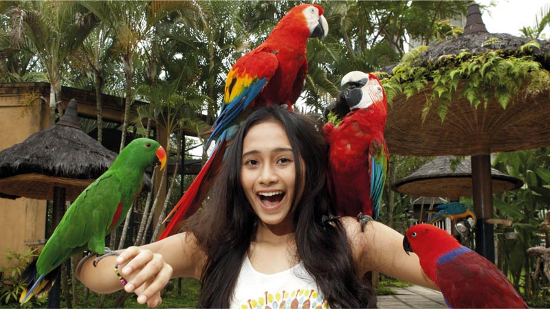 10 Tempat Wisata Anak di Bali yang Paling Seru (Foto: raftingbali.net)
