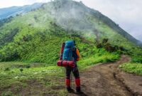 Ilustrasi. Petualangan Solo Traveler: 5 Destinasi Alam Terbaik yang Menantang dan Memikat. (Foto: Pixabay)