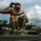 7 Tempat Wisata Viral di Kalimantan Selatan yang Lagi Hits dan Wajib Kamu Jelajahi!. (Foto: banjarmasinposttravel.tribunnews.com)