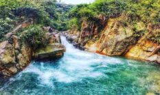 Destinasi Wisata Puncak Bogor Terbaru yang Wajib Dikunjungi