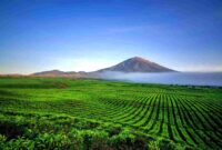 Pendakian Gunung Kerinci: Menjelajah Atap Sumatra dengan Keindahan dan Tantangan yang Memikat. (Foto: mahalo.cz)