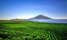 Pendakian Gunung Kerinci: Menjelajah Atap Sumatra dengan Keindahan dan Tantangan yang Memikat