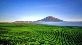Pendakian Gunung Kerinci: Menjelajah Atap Sumatra dengan Keindahan dan Tantangan yang Memikat. (Foto: mahalo.cz)