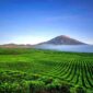 Pendakian Gunung Kerinci: Menjelajah Atap Sumatra dengan Keindahan dan Tantangan yang Memikat. (Foto: mahalo.cz)