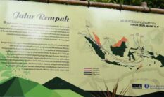Sejarah Jalur Rempah: Rute Kuno yang Mengubah Peta Dunia