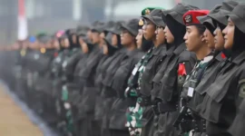Ilustrasi. Seleksi PPPK Jalur Khusus Dibuka, SPPI Jadi Prioritas. (Foto: bic)