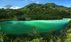 Wisata Puncak Bogor: 5 Destinasi Dingin Favorit Wisatawan