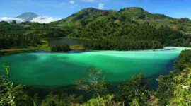 Wisata Puncak Bogor: 5 Destinasi Dingin Favorit Wisatawan (Foto: indonesiana)