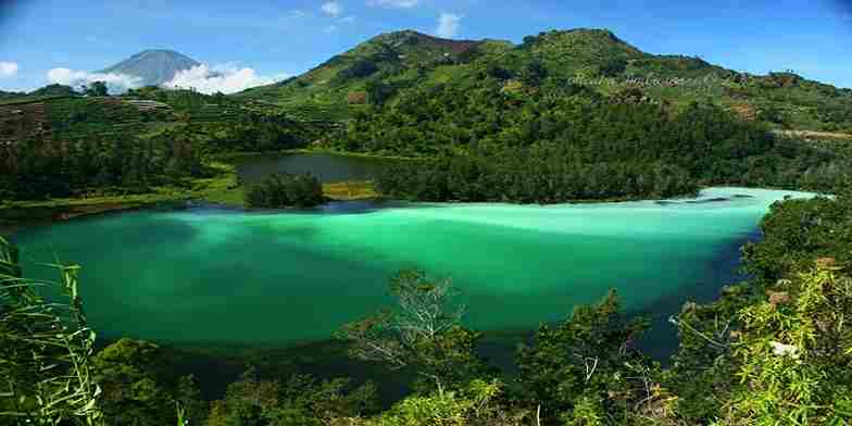 Wisata Puncak Bogor: 5 Destinasi Dingin Favorit Wisatawan (Foto: indonesiana)