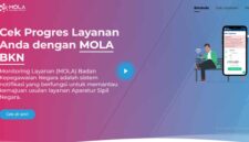 Cara Praktis Cek Status NIP PPPK 2025 Lewat MOLA BKN (Foto: Tangkapan layar halaman Mola)
