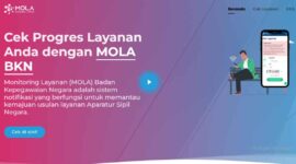 Cara Praktis Cek Status NIP PPPK 2025 Lewat MOLA BKN (Foto: Tangkapan layar halaman Mola)