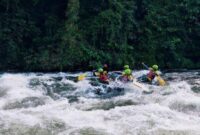 Arung Jeram Seru di Sungai Batang Merangin: Tantangan Buat Si Pencari Adrenalin (Foto: tribunjambitravel)