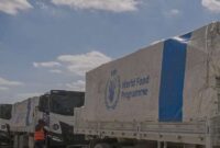 Truk berisi bantuan untuk warga Gaza, Palestina (Foto: X - World Food Programme)