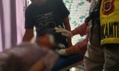 Warga Muaro Jambi Diserang Beruang Saat Menyadap Karet