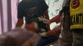 Warga Muaro Jambi Diserang Beruang Saat Menyadap Karet