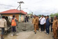 Wako Alfin Tinjau Progres Jalan Inpres Tanjung Mudo, Dorong Kualitas dan Ketahanan Pangan (Foto: Humas)