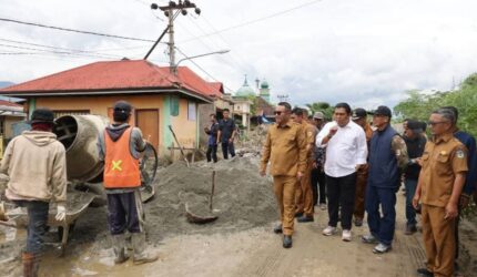 Wako Alfin Tinjau Progres Jalan Inpres Tanjung Mudo, Dorong Kualitas dan Ketahanan Pangan