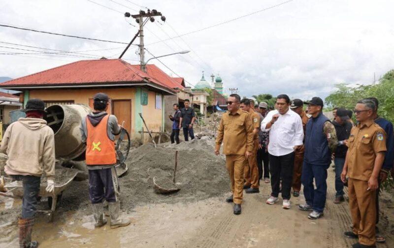 Wako Alfin Tinjau Progres Jalan Inpres Tanjung Mudo, Dorong Kualitas dan Ketahanan Pangan (Foto: Humas)