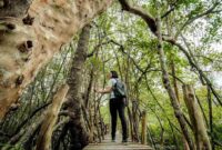 Kemenparekraf Dorong Transisi Pariwisata Hijau Lewat Kajian Green Jobs dan Green Skills (Foto: Dok. Kemenpar)