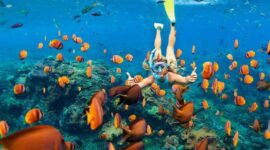 Ilustrasi. 5 Tempat Snorkeling dan Diving Terbaik di Indonesia (Foto: dialooghotels)