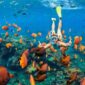 Ilustrasi. 5 Tempat Snorkeling dan Diving Terbaik di Indonesia (Foto: dialooghotels)