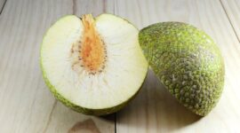 Ilustrasi Sukun (Foto: Shutterstock/Jfanchin)