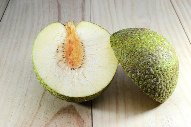 Ilustrasi Sukun (Foto: Shutterstock/Jfanchin)