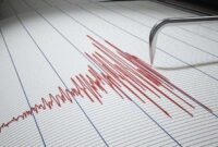 Ilustrasi seismograf (Foto: Pinterest)