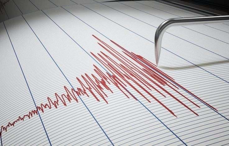 Ilustrasi seismograf (Foto: Pinterest)