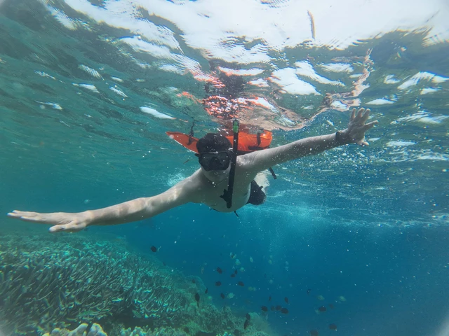 Menyibak Pesona Bawah Laut Bunaken, Ini Estimasi Biaya Snorkeling Wajib Tahu (Foto: Gitario Vista Inasis/kumparan)
