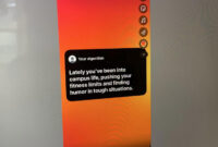 Tren Your Algorithm yang ramai dibagikan di Story IG. Tren ini menampilkan rangkuman algoritma dari preferensi atau minat tontonan kita di Reels dan Explore Instagram. (Foto: Kompas/Zulfikar Hardiansyah)